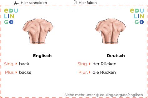 rücken englisch|Rücken